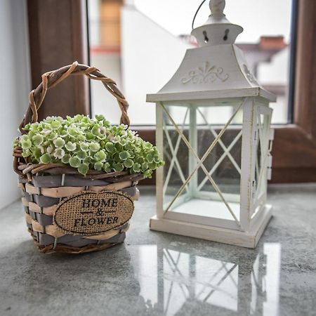 Willa Zator Oswiecim Ngoại thất bức ảnh